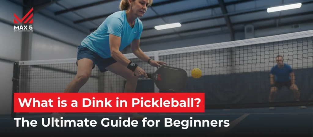 What is a Dink in Pickleball